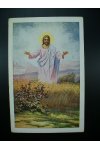 Pohledy - Ježíš nad polem pšenice
