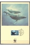 Tonga - Příležitostný tisk - Ryby