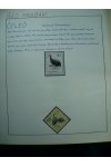 Fauna námětová sbírka - Ptáci - Měkkozubí