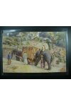Námětová pohlednice - Zvířata - Sloni