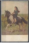 Námětová pohlednice - Zvířata - Kůň