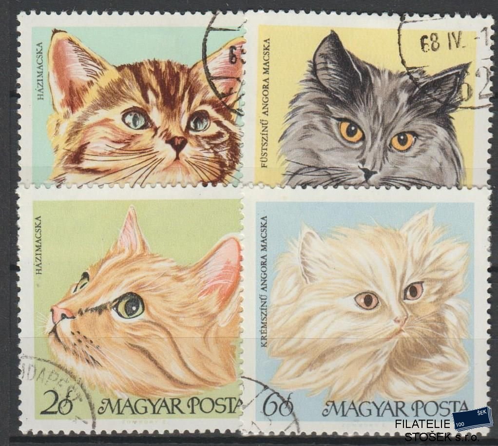Maďarsko známky - Kočky