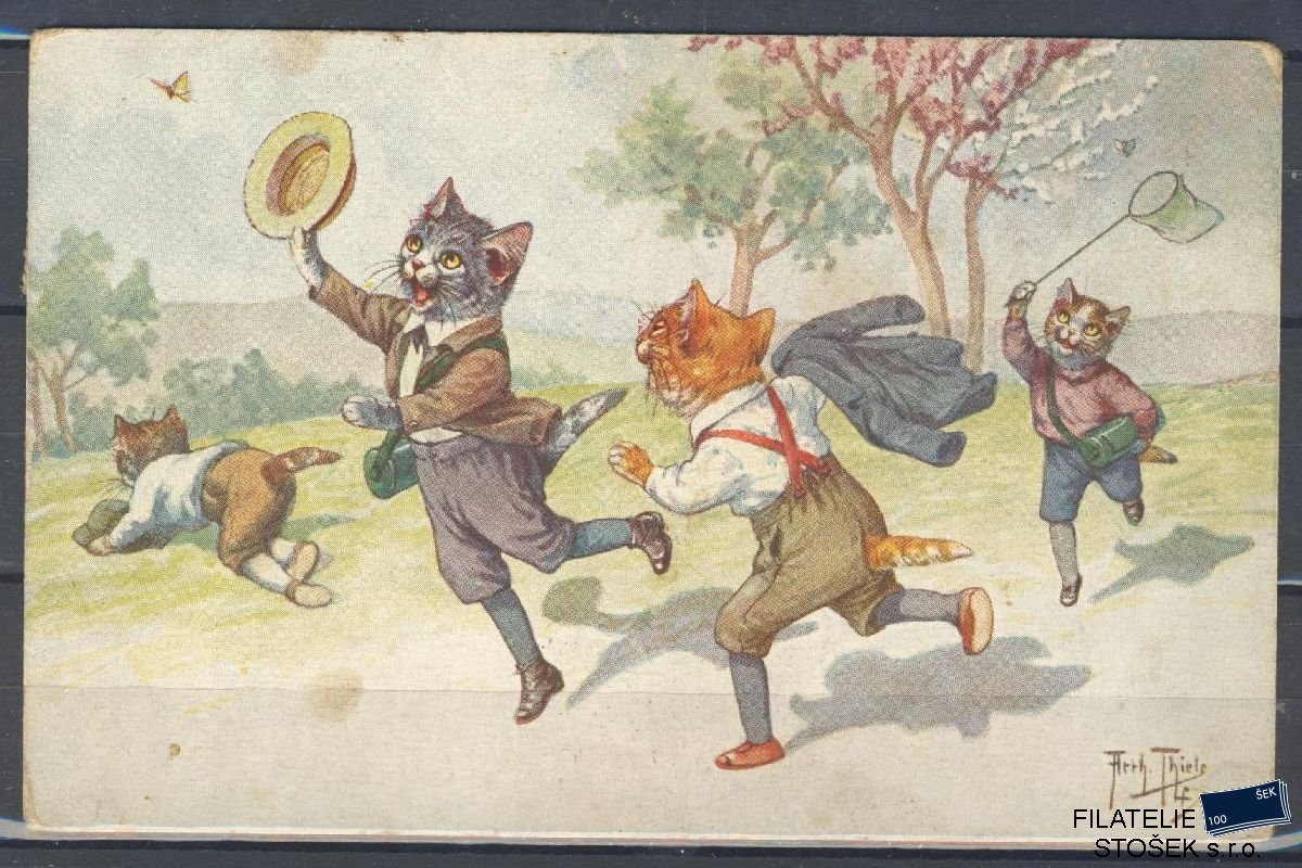 Námětová pohlednice - Žertovné - Kočky