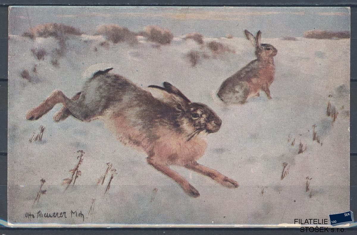 Námětová pohlednice - Zvířata - Zajíci