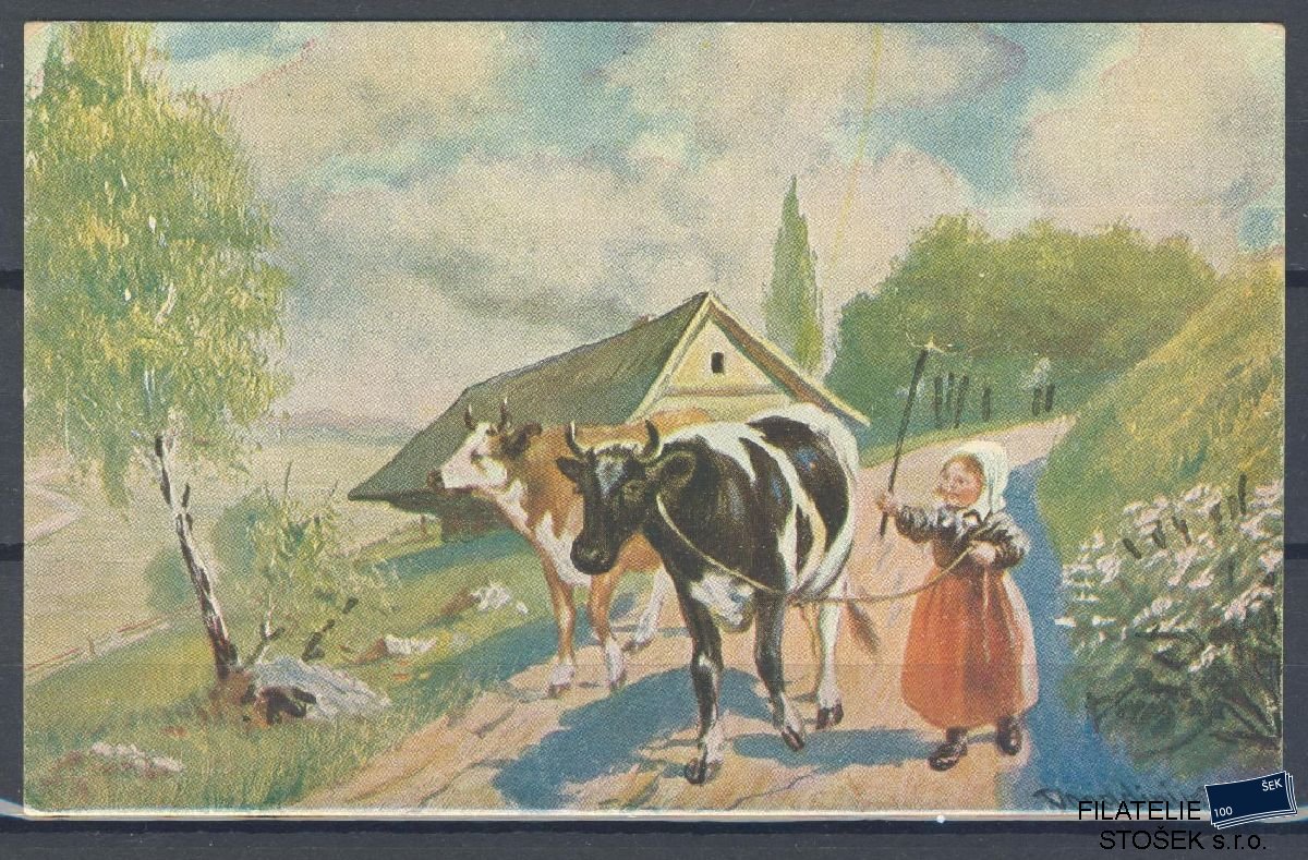 Námětová pohlednice - Zvířata - Krávy
