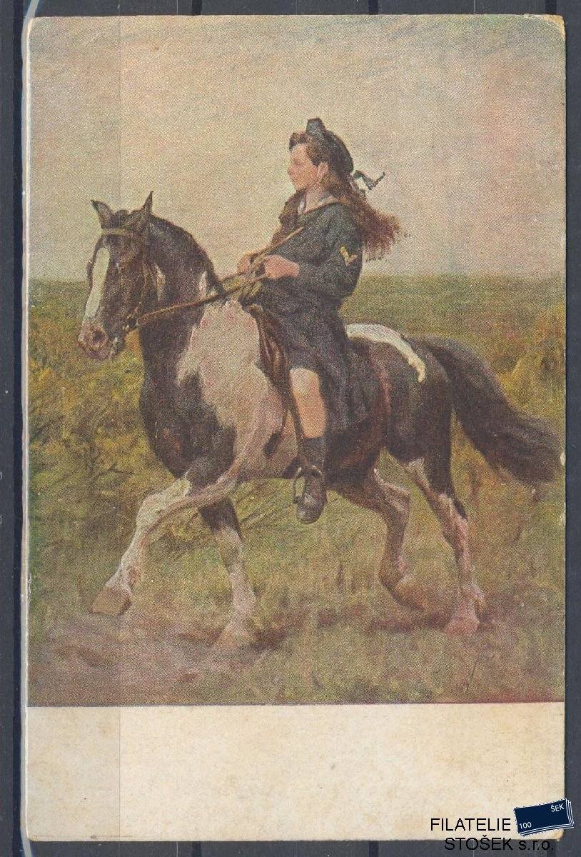 Námětová pohlednice - Zvířata - Kůň