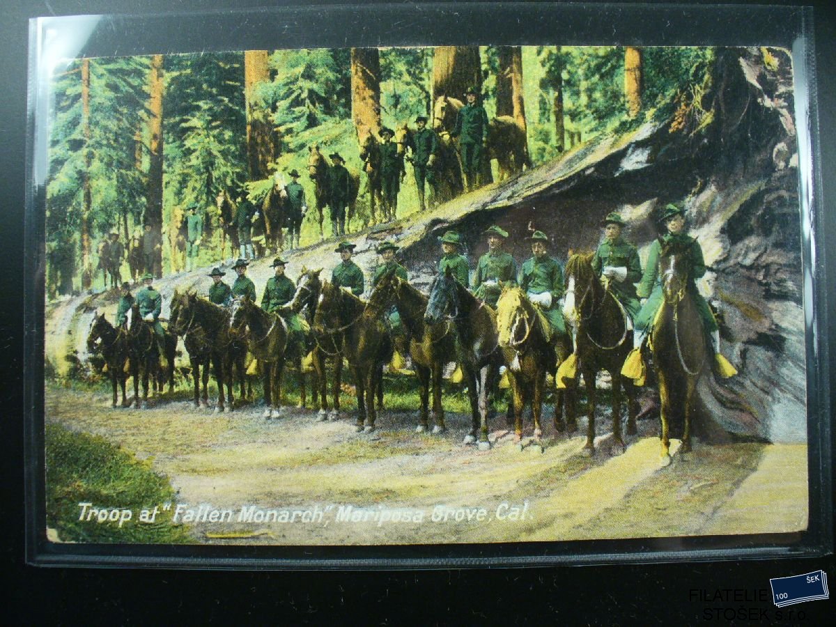 Vojenská pohlednice - Vojsko na Fallen Nonarch Mariposa Grove
