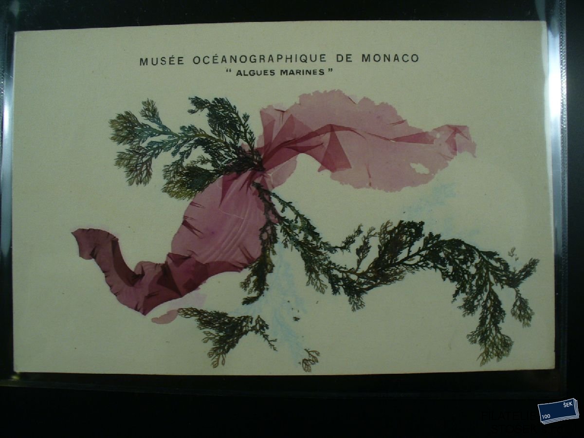 Námětová pohlednice - Reklamy - Musée Océanographique de Monako